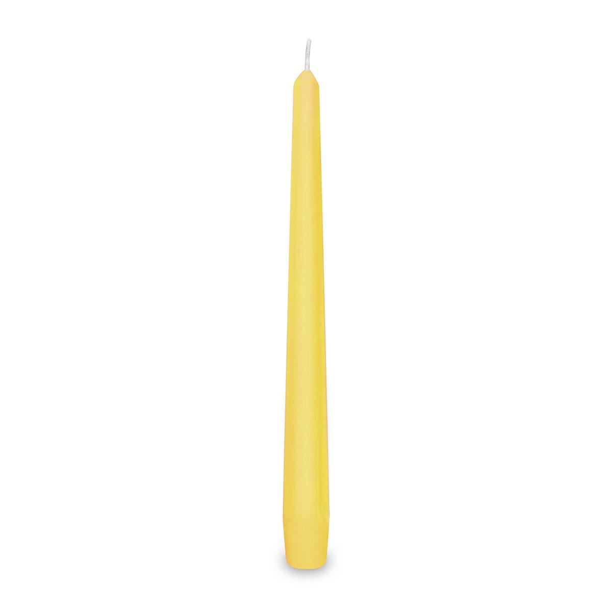 Spitzkerze aus Wachs gelb Ø 23 x 245 mm, Packung mit 10 Stück