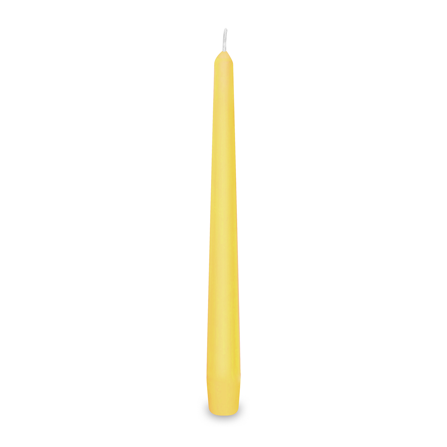 Spitzkerze aus Wachs gelb Ø 23 x 245 mm, Packung mit 10 Stück
