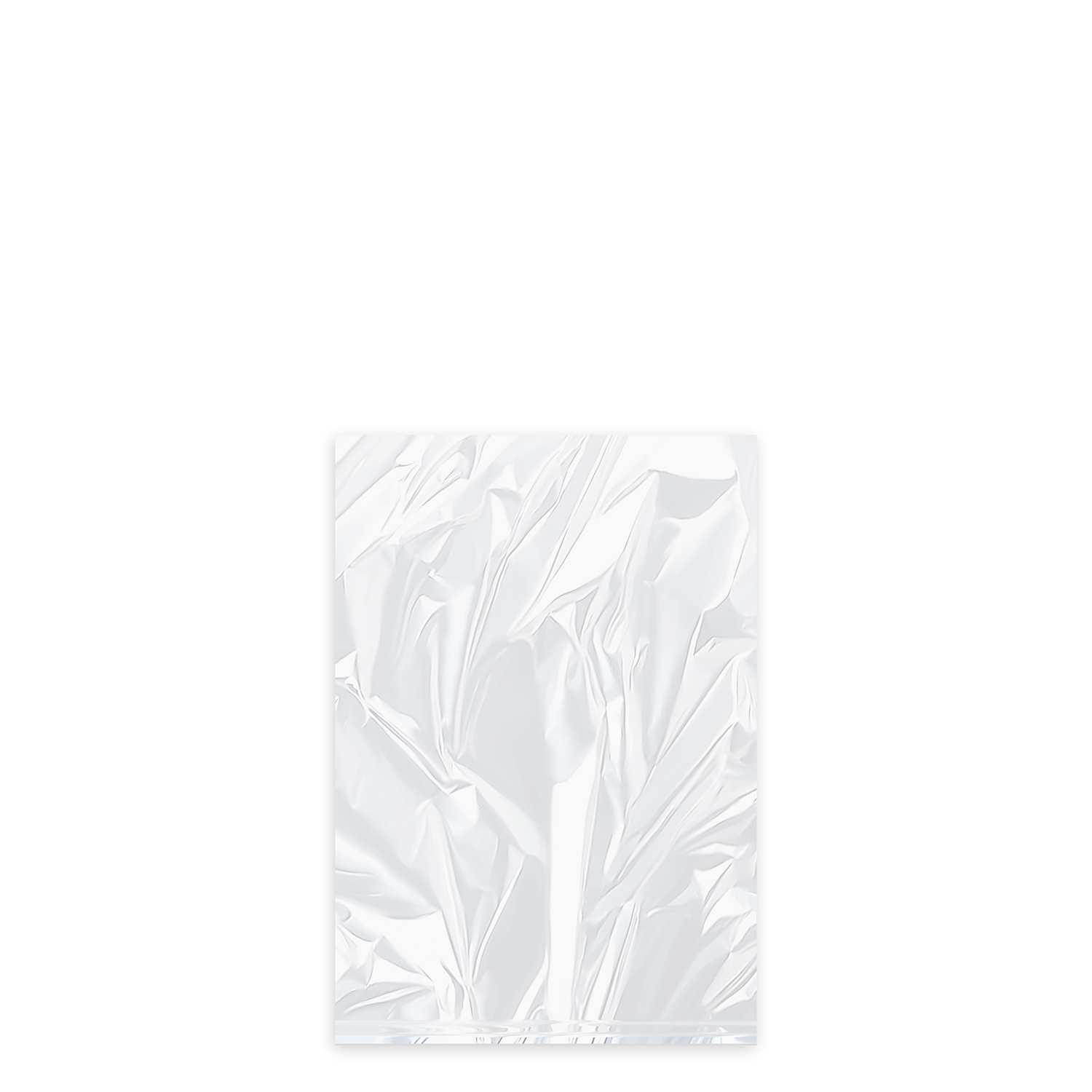 Universal-Flachbeutel (HDPE) transparent 17 x 25 cm 1L `S`