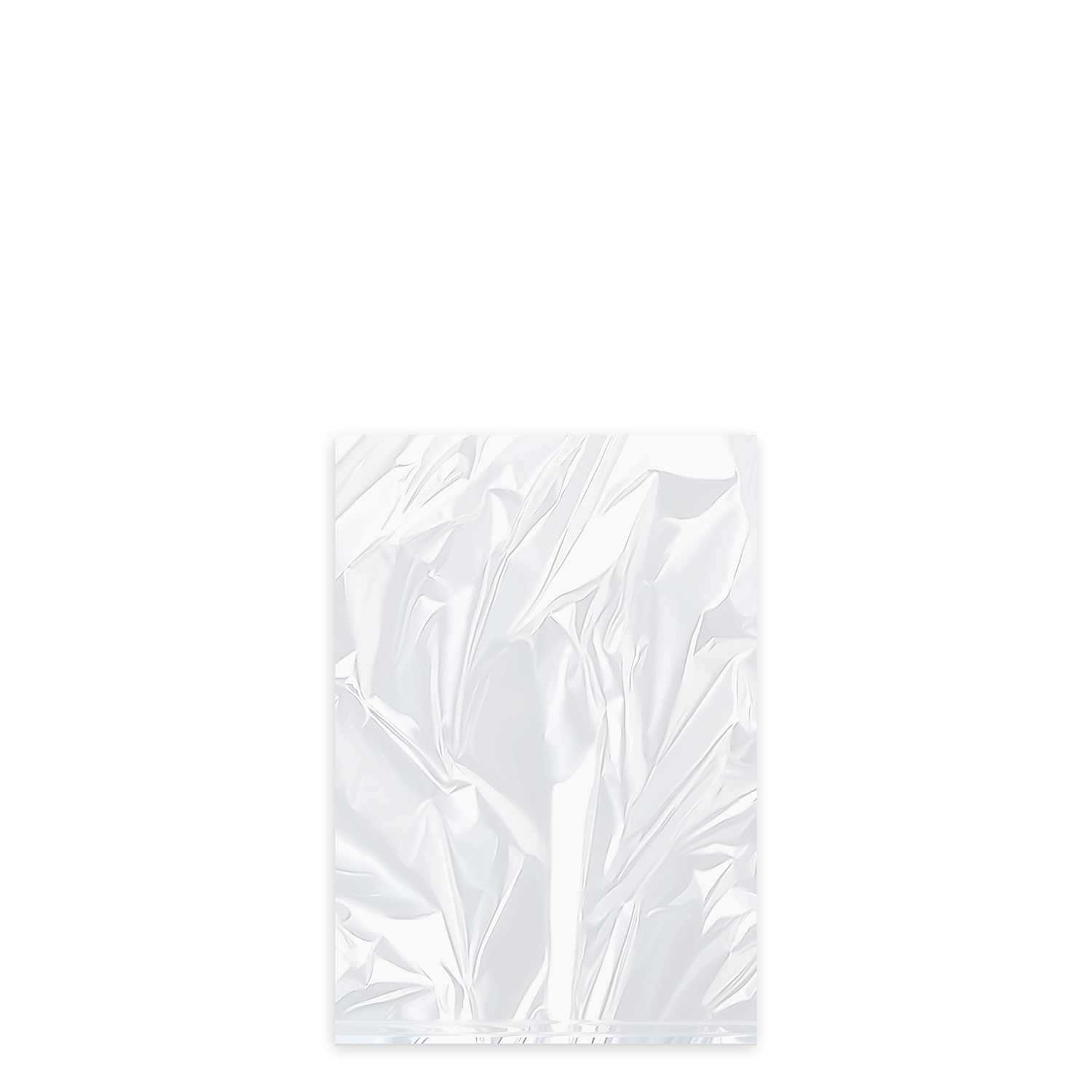 Universal-Flachbeutel (HDPE) transparent 17 x 25 cm 1L `S` Universal-Flachbeutel (HDPE) transparent 17 x 25 cm 1L `S`