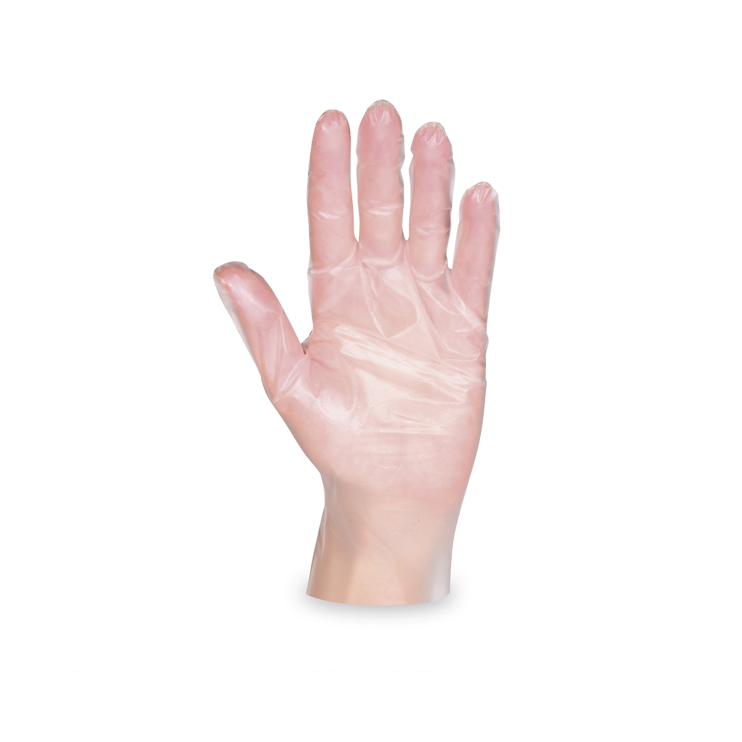 Handschuh (TPE) Einweg transparent `M` Handschuh (TPE) Einweg transparent `M`