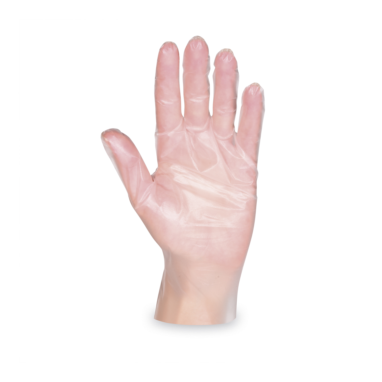 Handschuh (TPE) Einweg transparent `L` Handschuh (TPE) Einweg transparent `L`