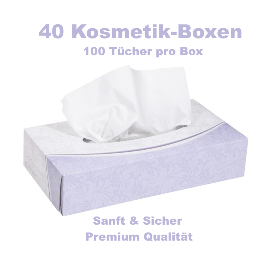 Kosmetiktuch PAP FSC Mix 19 x 20 cm weiss 2-lagig im Karton mit 40 Packungen à 100 Stück